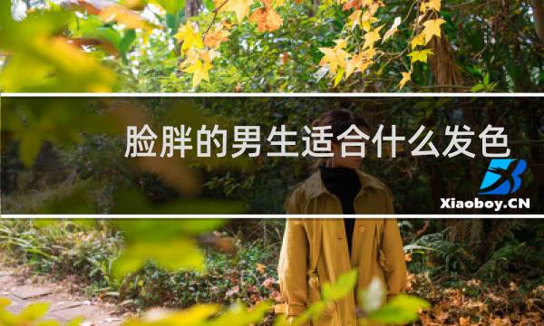 脸胖的男生适合什么发色