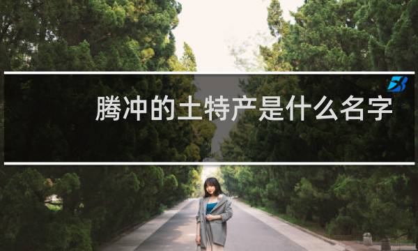 腾冲的土特产是什么名字