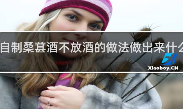 自制桑葚酒不放酒的做法做出来什么味道
