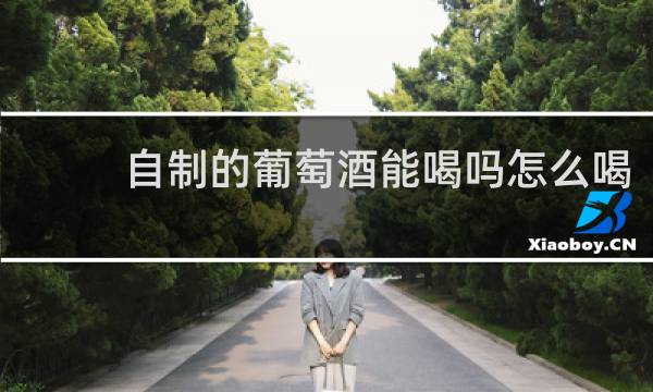 自制的葡萄酒能喝吗怎么喝