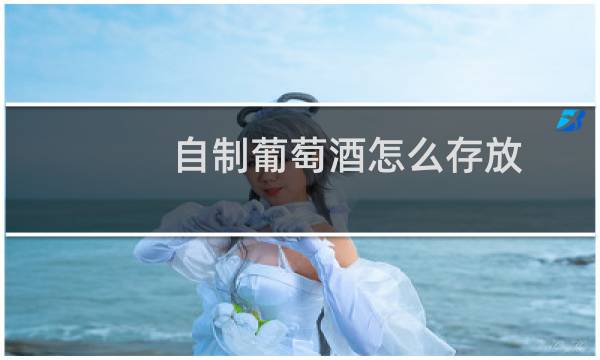 自制葡萄酒怎么存放