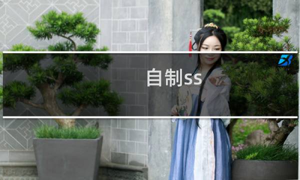 自制ss 攻略