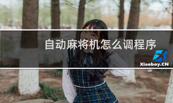 自动麻将机怎么调程序