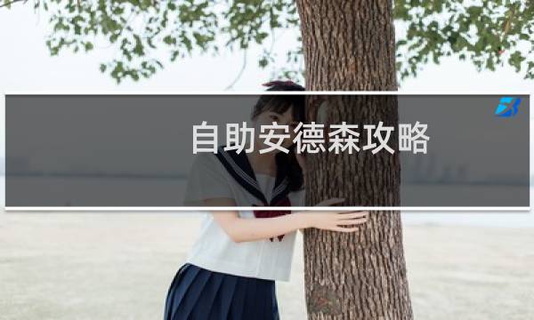 自助安德森攻略