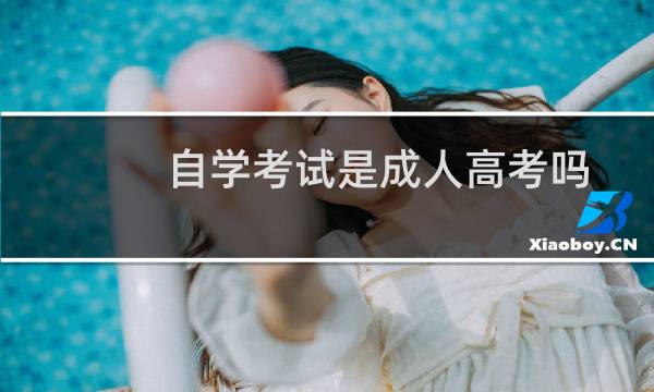自学考试是成人高考吗