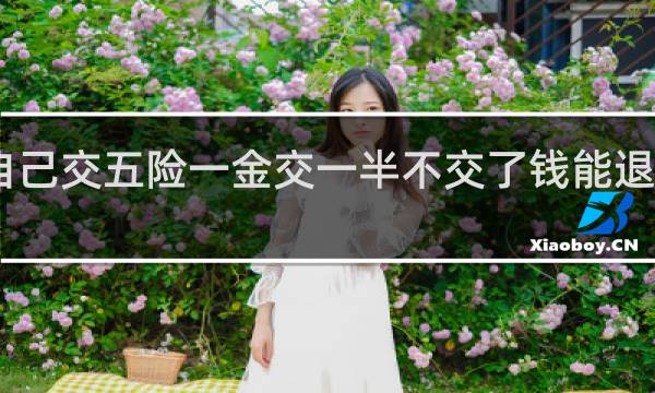 自己交五险一金交一半不交了钱能退回来吗