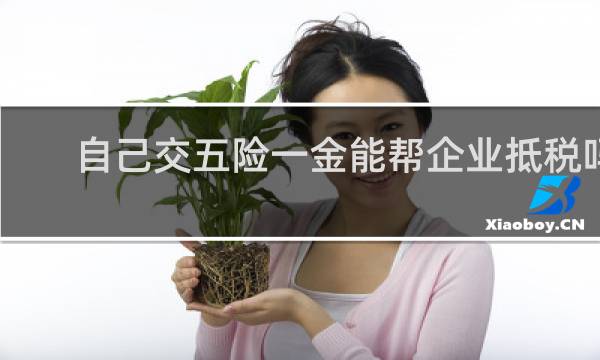 自己交五险一金能帮企业抵税吗