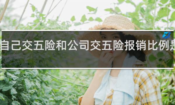 自己交五险和公司交五险报销比例是多少