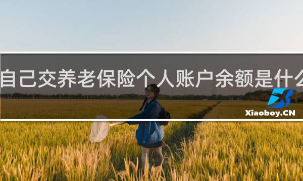 自己交养老保险个人账户余额是什么意思