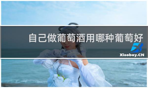 自己做葡萄酒用哪种葡萄好