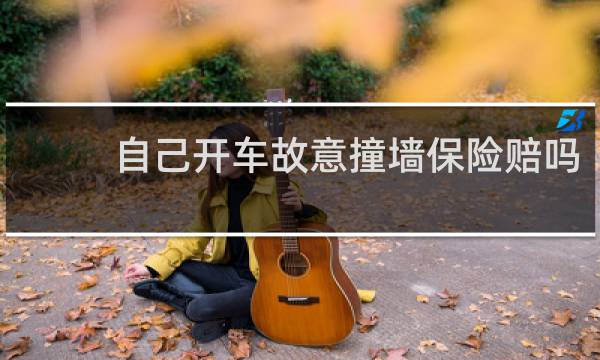 自己开车故意撞墙保险赔吗