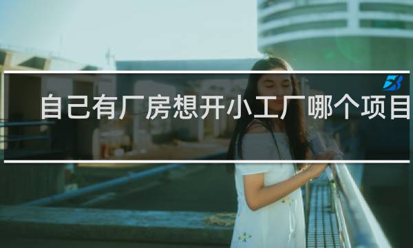自己有厂房想开小工厂哪个项目好