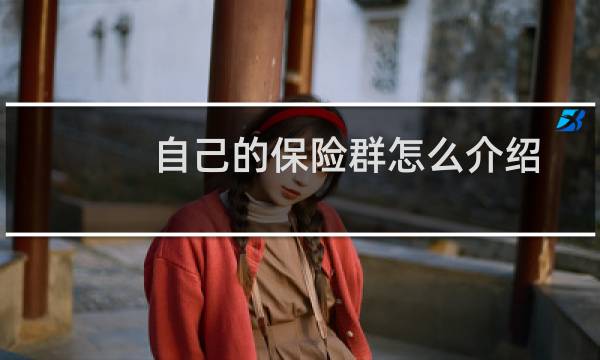 自己的保险群怎么介绍