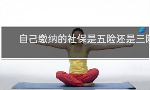 自己缴纳的社保是五险还是三险