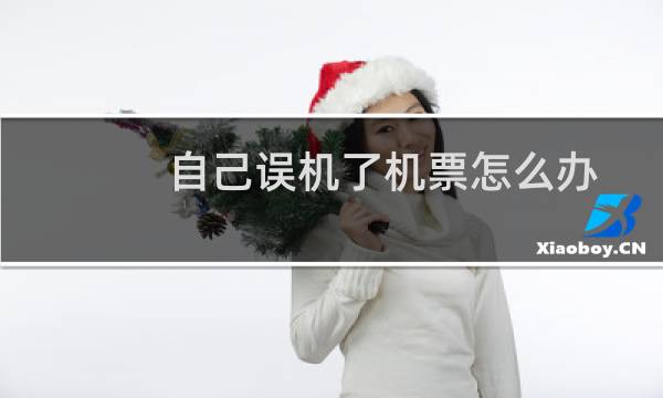 自己误机了机票怎么办