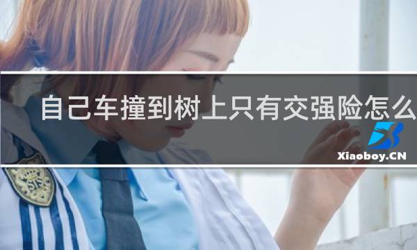 自己车撞到树上只有交强险怎么办