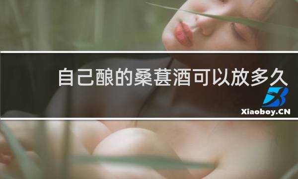 自己酿的桑葚酒可以放多久