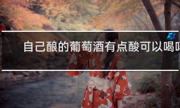 自己酿的葡萄酒有点酸可以喝吗