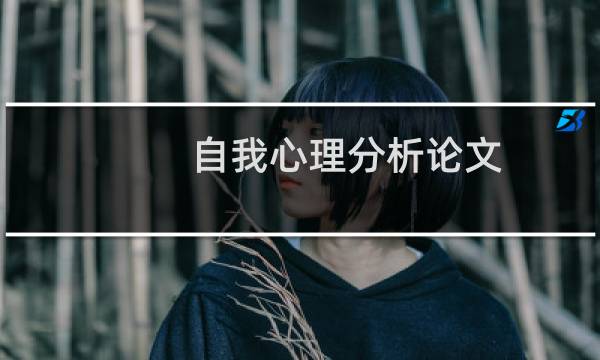 自我心理分析论文