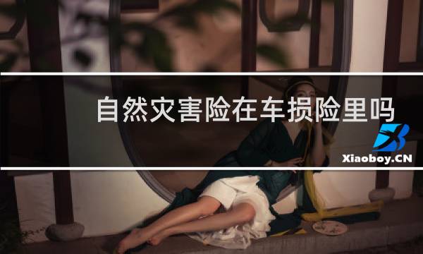 自然灾害险在车损险里吗