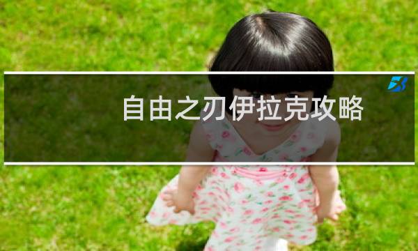 自由之刃伊拉克攻略