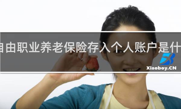 自由职业养老保险存入个人账户是什么意思