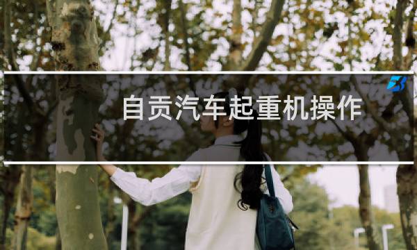 自贡汽车起重机操作