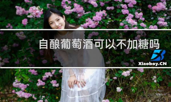 自酿葡萄酒可以不加糖吗