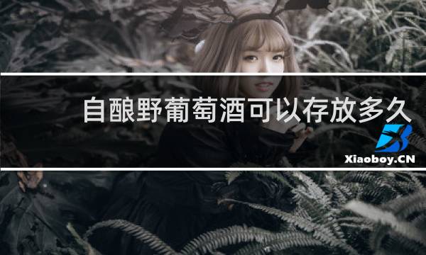 自酿野葡萄酒可以存放多久