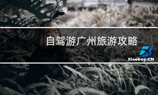 自驾游广州旅游攻略