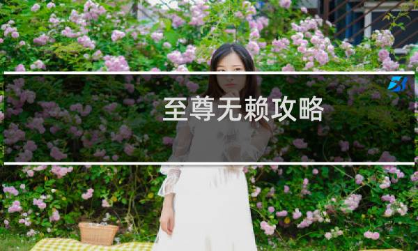 至尊无赖攻略
