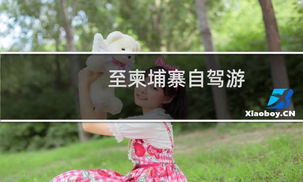 至柬埔寨自驾游