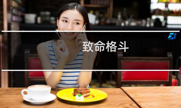 致命格斗 攻略