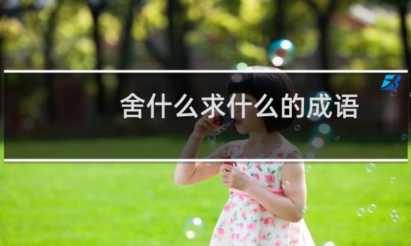 舍什么求什么的成语