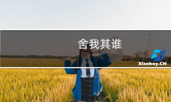 舍我其谁 电视剧