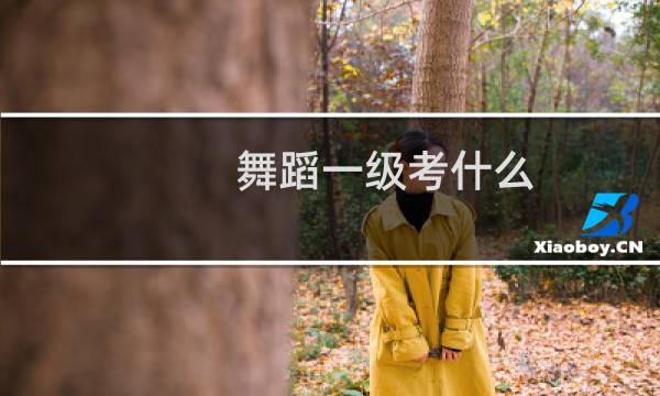 舞蹈一级考什么