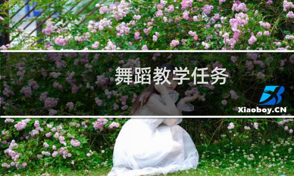 舞蹈教学任务