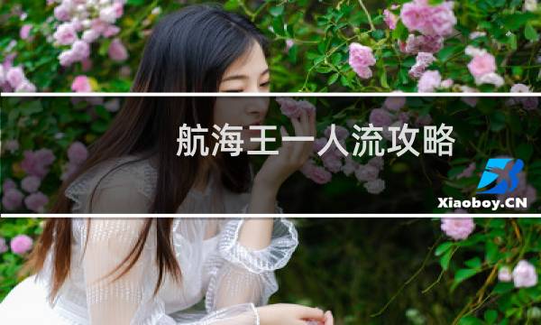 航海王一人流攻略