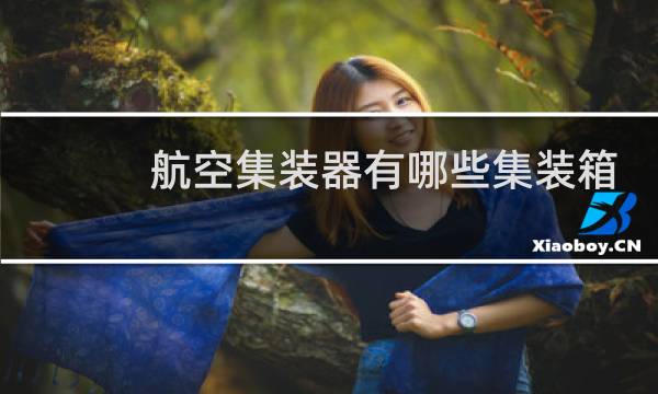 航空集装器有哪些集装箱