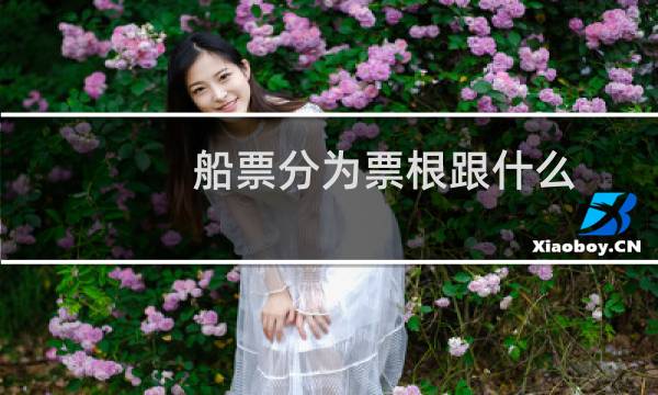 船票分为票根跟什么