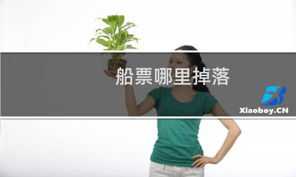 船票哪里掉落