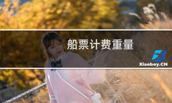船票计费重量