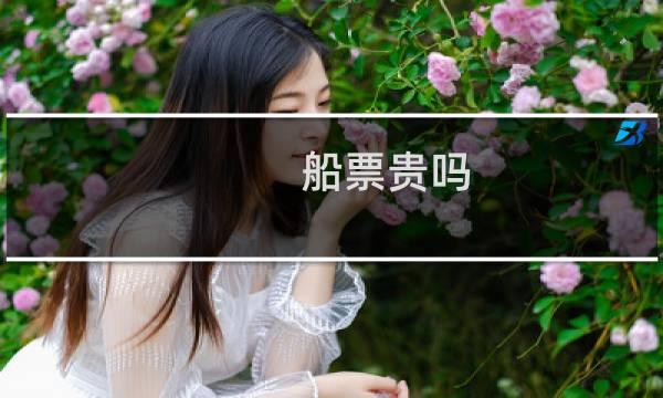 船票贵吗