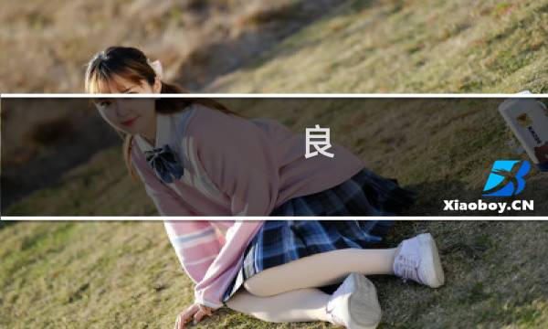 良 梦攻略