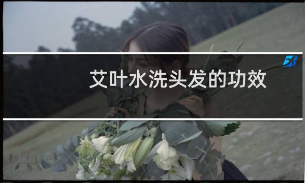 艾叶水洗头发的功效