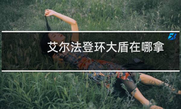 艾尔法登环大盾在哪拿