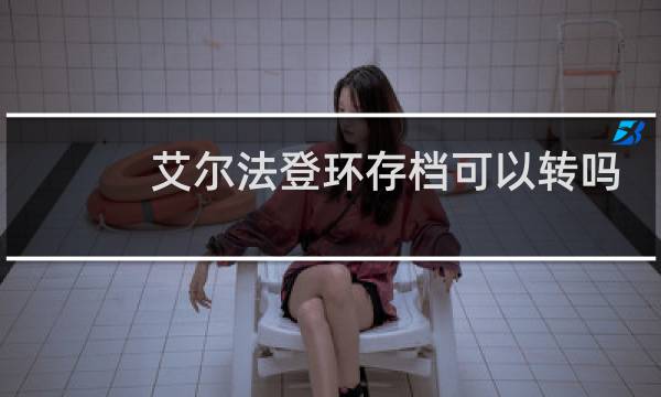 艾尔法登环存档可以转吗