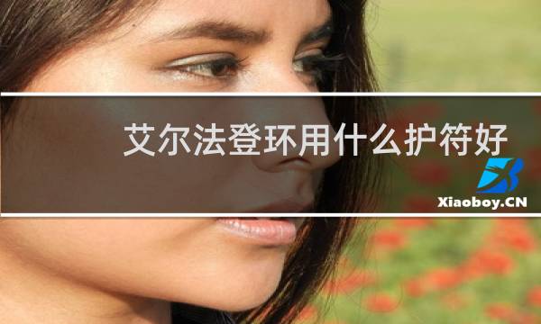 艾尔法登环用什么护符好