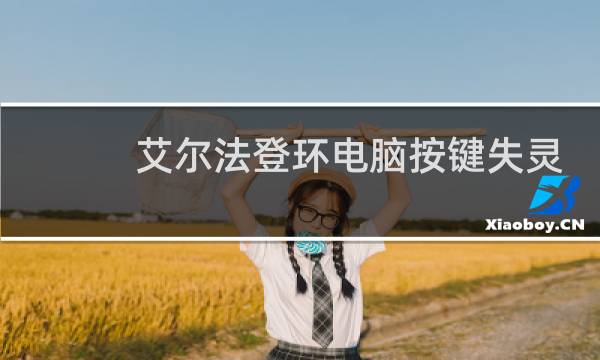 艾尔法登环电脑按键失灵