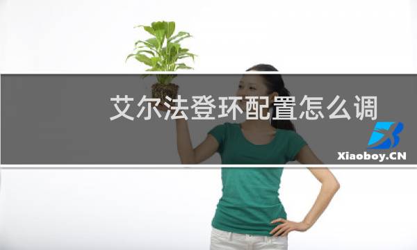 艾尔法登环配置怎么调